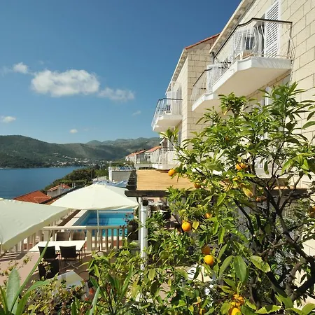 Guesthouse Villa Paradiso-2